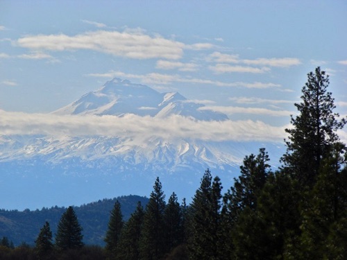 Mount Shasta